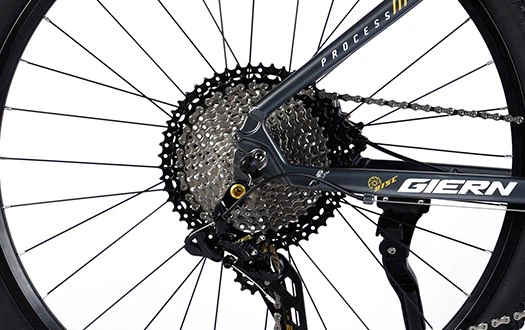 freewheel freewheel