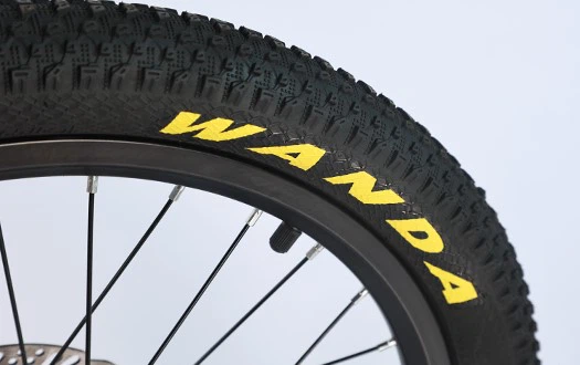WANDA tire WANDA tire