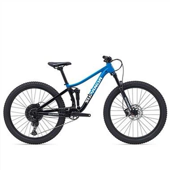 26 Downhill Bike