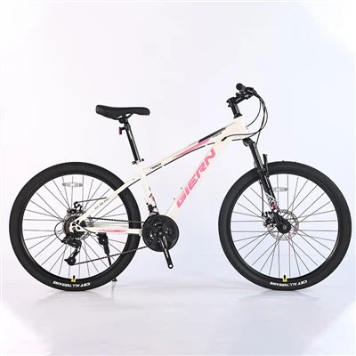 26 Mtb Hardtail ram
