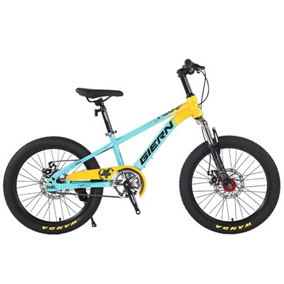 Hardtail Single Speed ​​Mountainbike