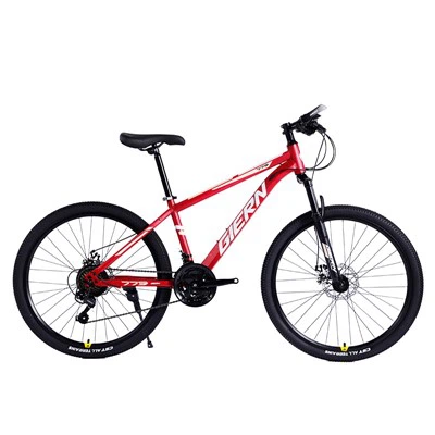 MTB Ram 29 Hardtail