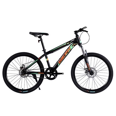 Single Speed ​​DH cykel