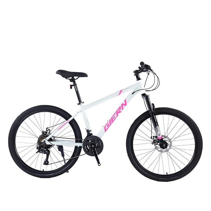 Blue Hardtail Mountain Bike